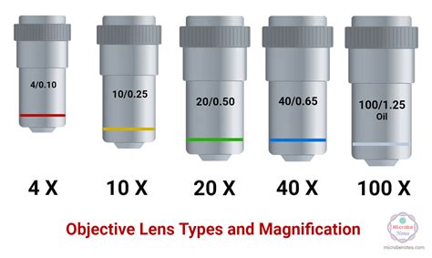 the total magnification of an object can be found by|Magnification .